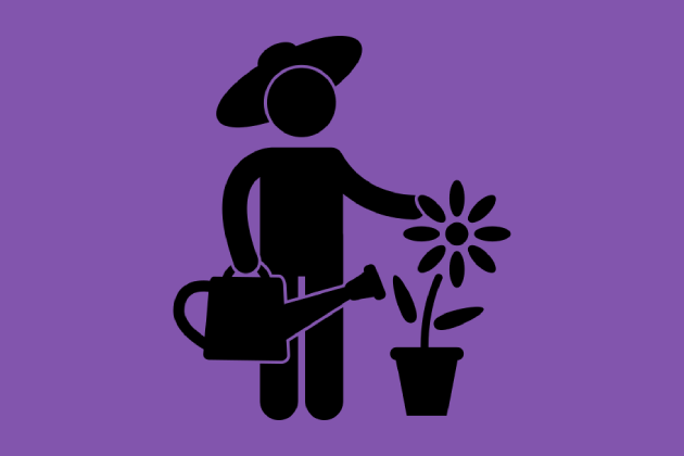 Bitki Gelişim Düzenleyiciler (BGD)