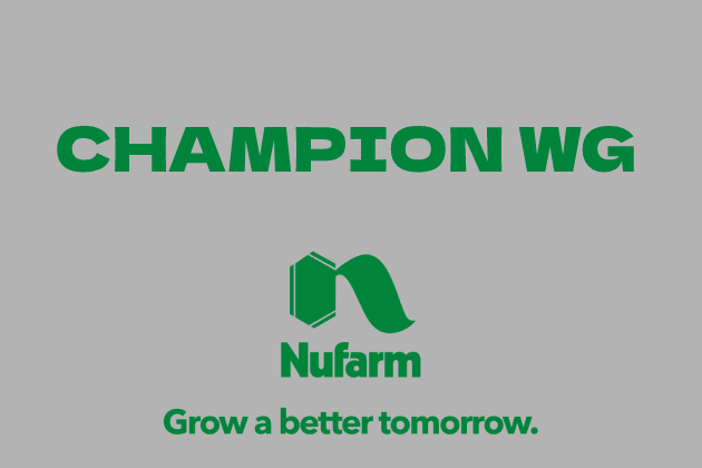 CHAMPION WG