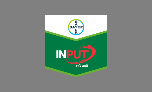 INPUT ® EC 460