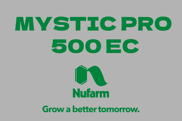 MYSTIC PRO 500 EC