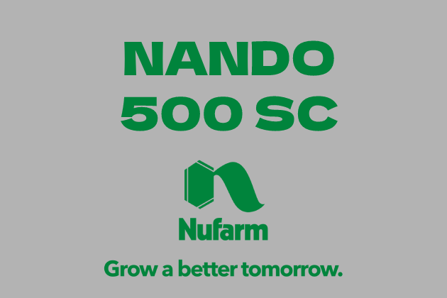 NANDO 500 SC