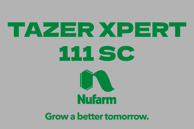 TAZER XPERT 111 SC
