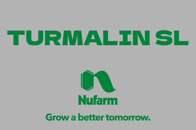 TURMALIN SL