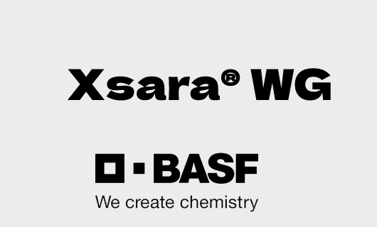 Xsara<sup>®</sup> WG