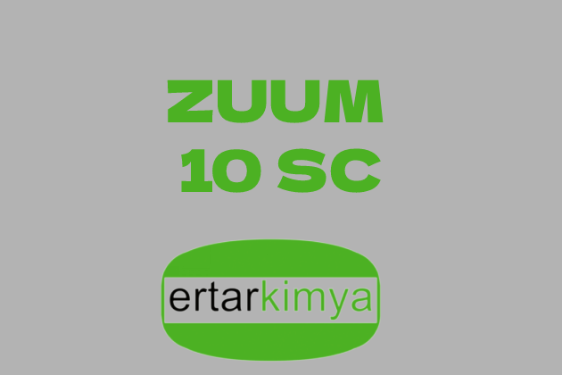 ZUUM 10 SC
